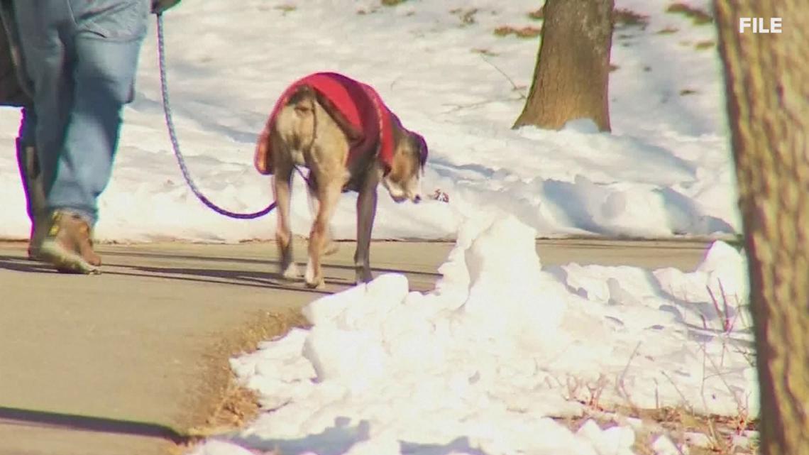 Keeping pets safe during this weekend’s winter storm