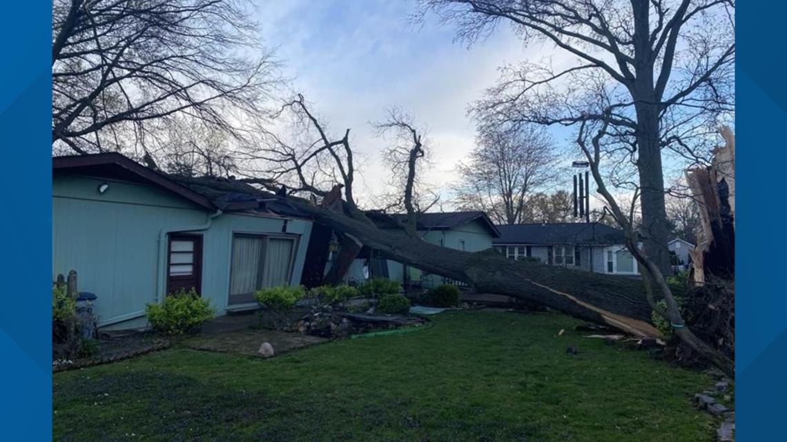 Elderly man taken to the hospital after tree crashes into his home in Webster Groves