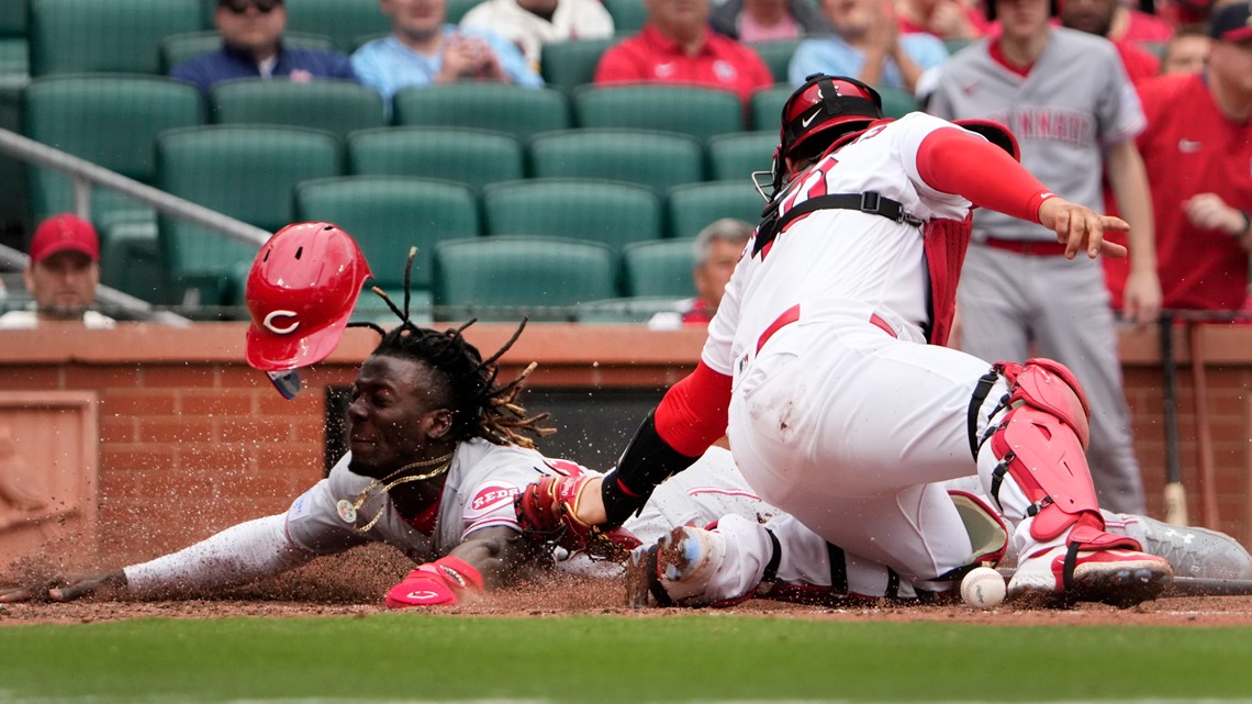 Cardinals 2023 Projections: Part III - Catchers and Outfielders