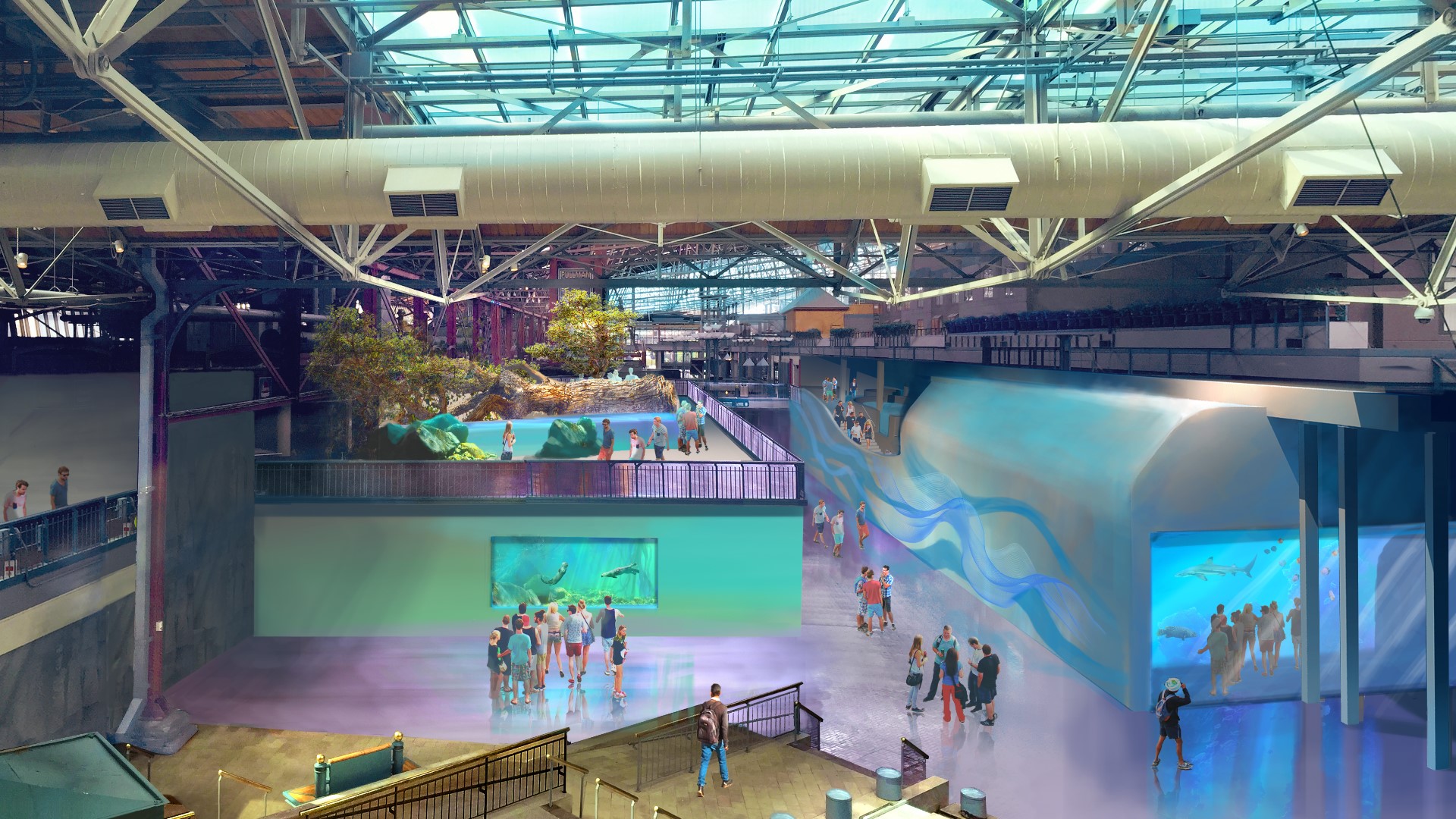 A first look inside the new St. Louis Aquarium at Union Station | ksdk.com
