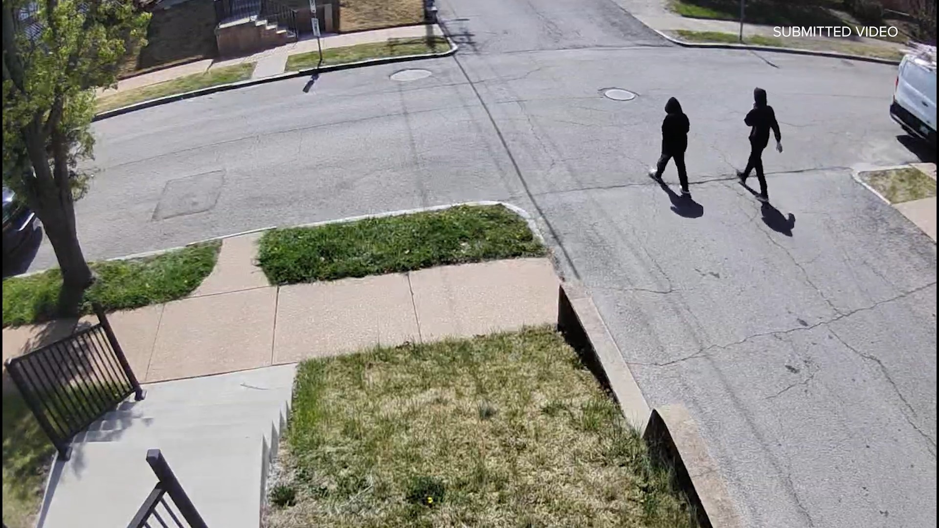 Two young runaway boys from Indiana attempted to carjack an elderly woman at gunpoint Saturday afternoon in south St. Louis. The victim was 82 years old.