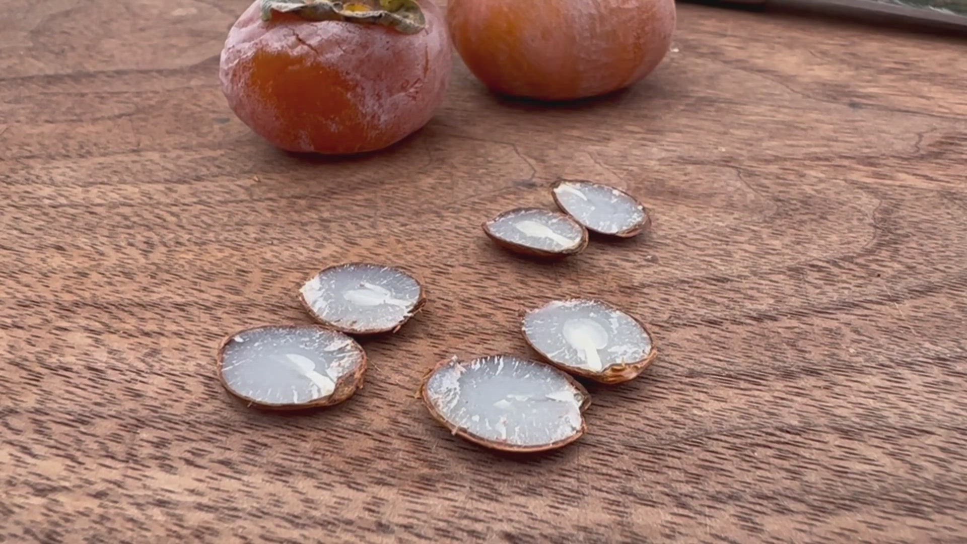 Snowy winter coming for Missouri, persimmon seeds say