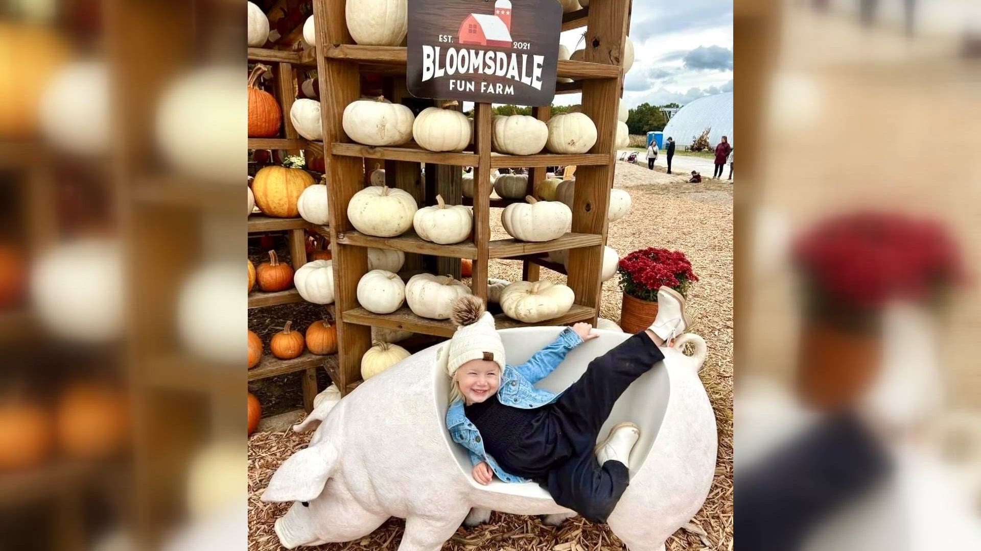 Missouri Pumpkin Fest returns to Bloomsdale Fun Farm with new ...