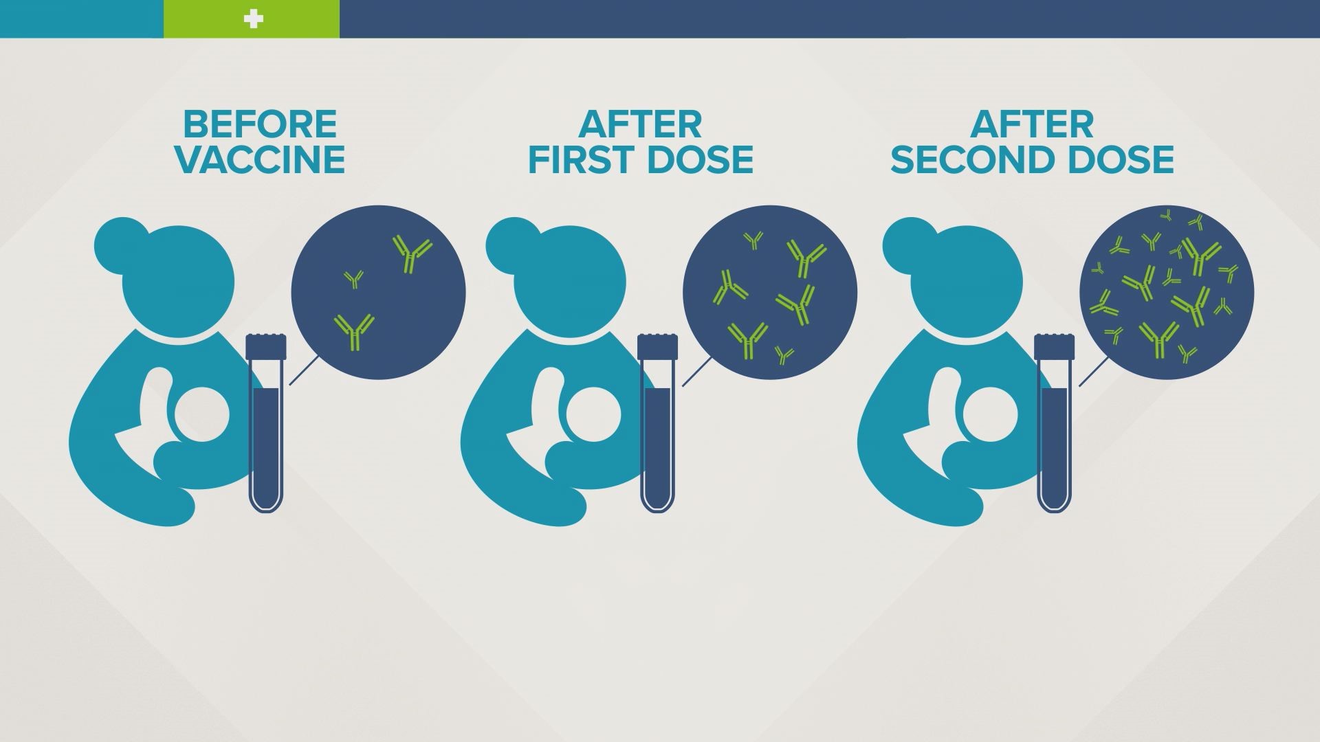 Study finds COVID19 antibodies in breast milk