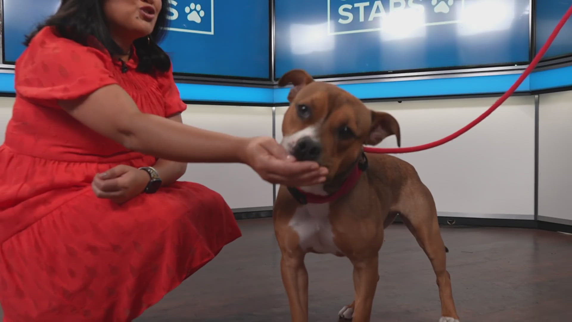 Sammy's Stars: July 19, 2024 | ksdk.com