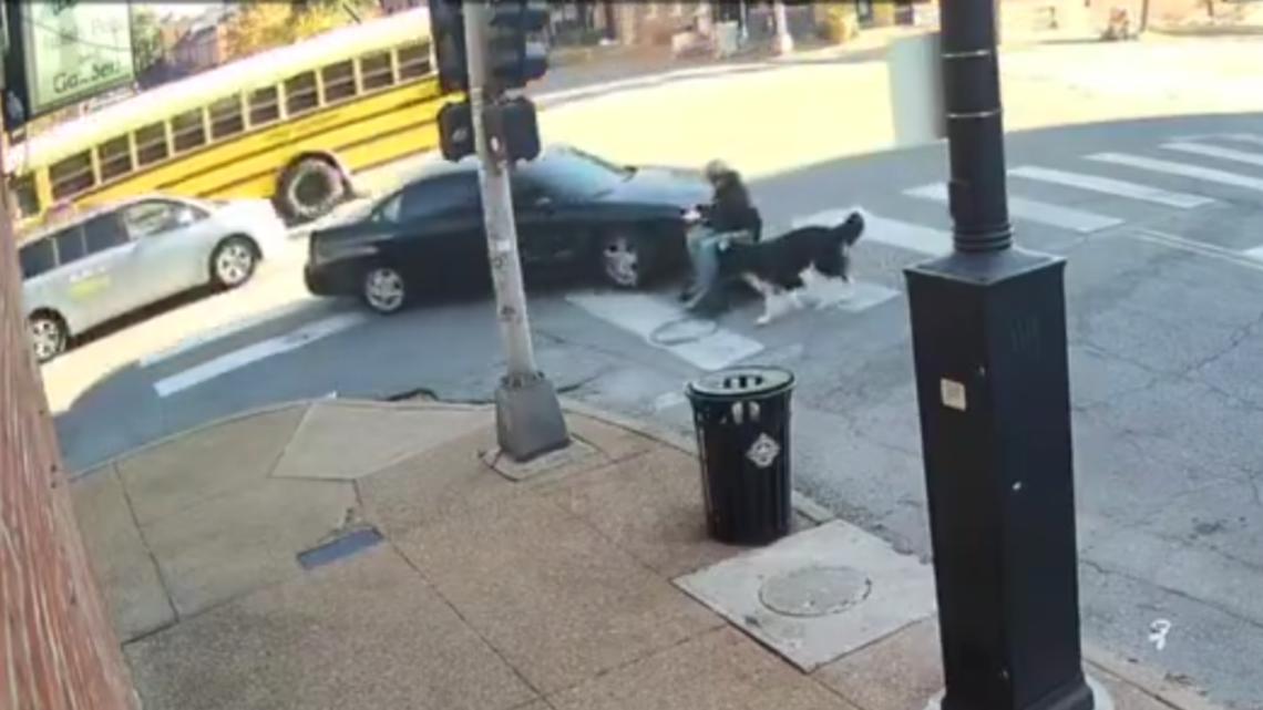 RAW Car strikes man in wheelchair, dog before fleeing scene