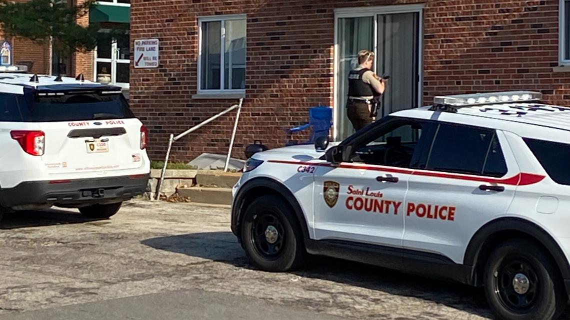 AMBER Alert: 5-year-old girl abducted in stolen vehicle in Affton