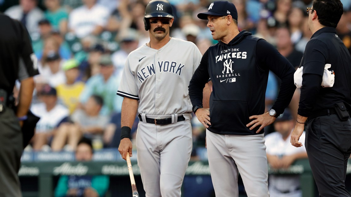 Matt Carpenter Fractures Foot in Yankees Win Over Mariners - The New York  Times