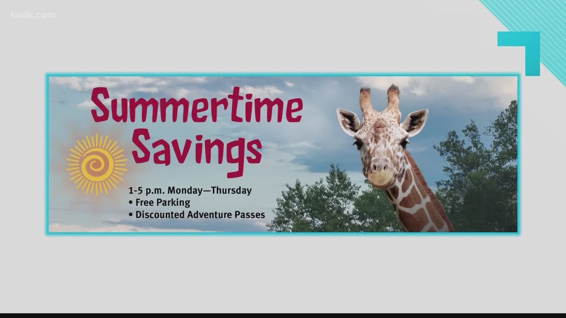 You can get free parking and a discount on a Zoo adventure pass.