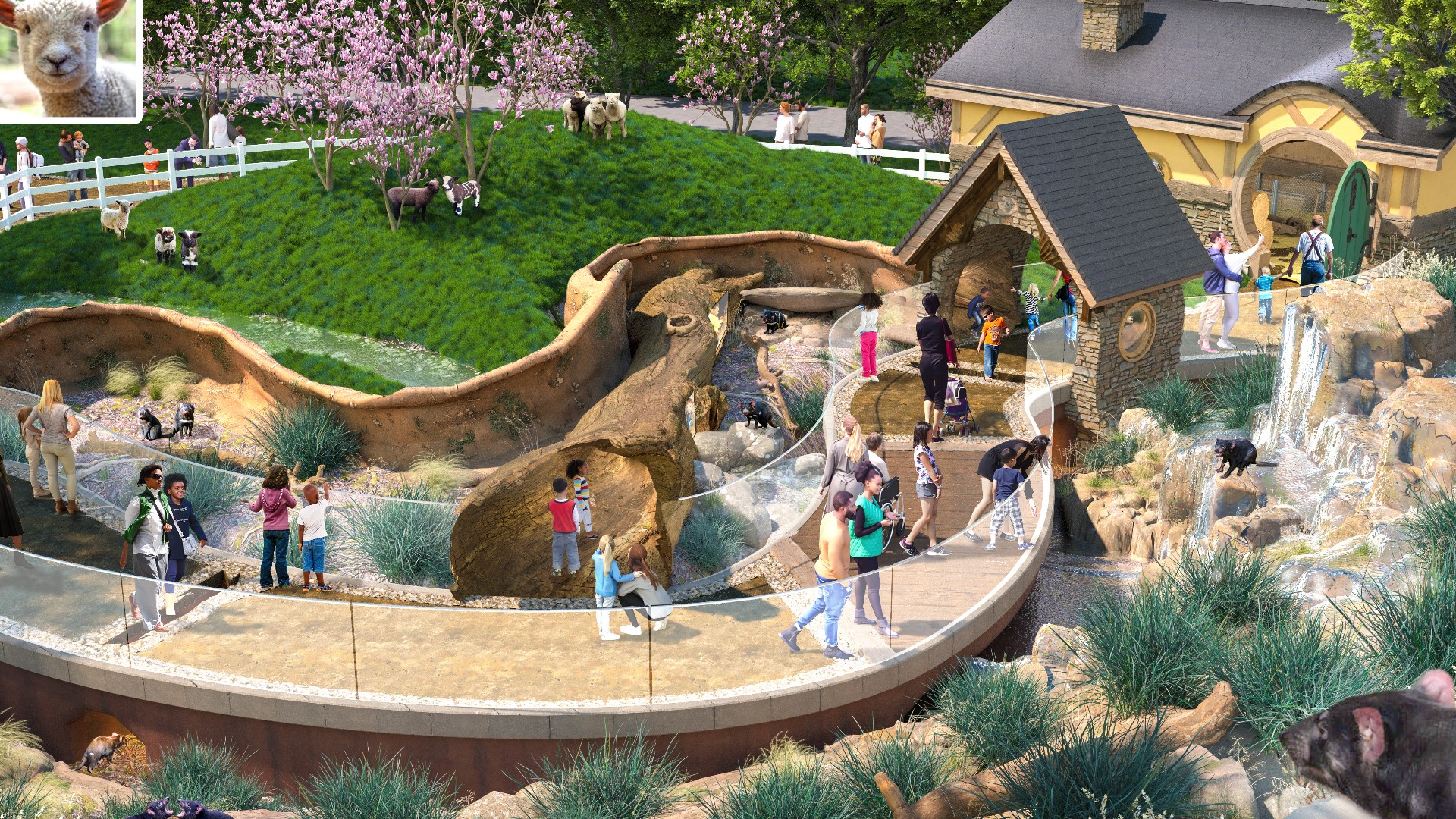 Saint Louis Zoo unveils plans for 'Destination Discovery' exhibit ...