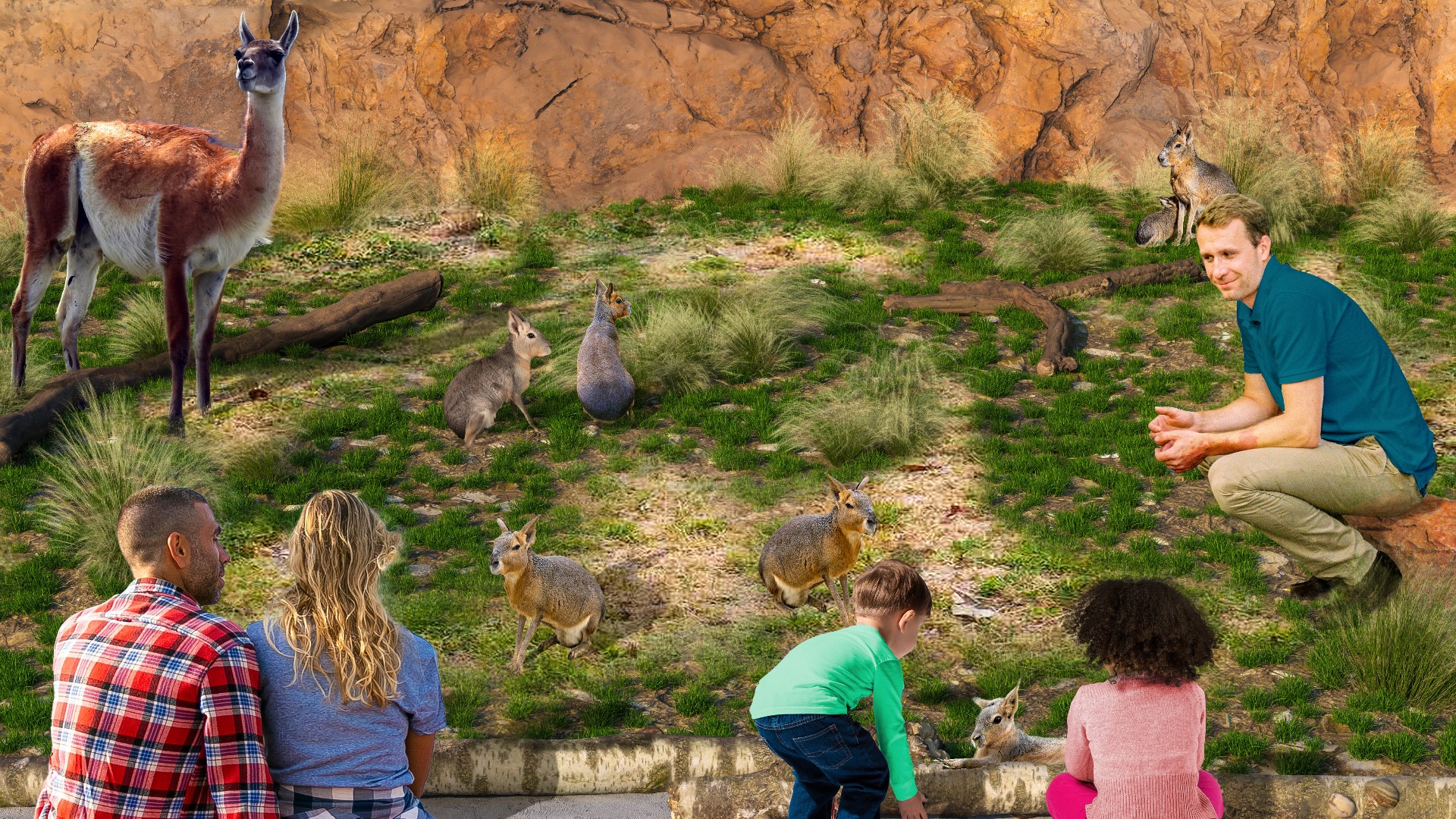 Saint Louis Zoo unveils plans for 'Destination Discovery' exhibit