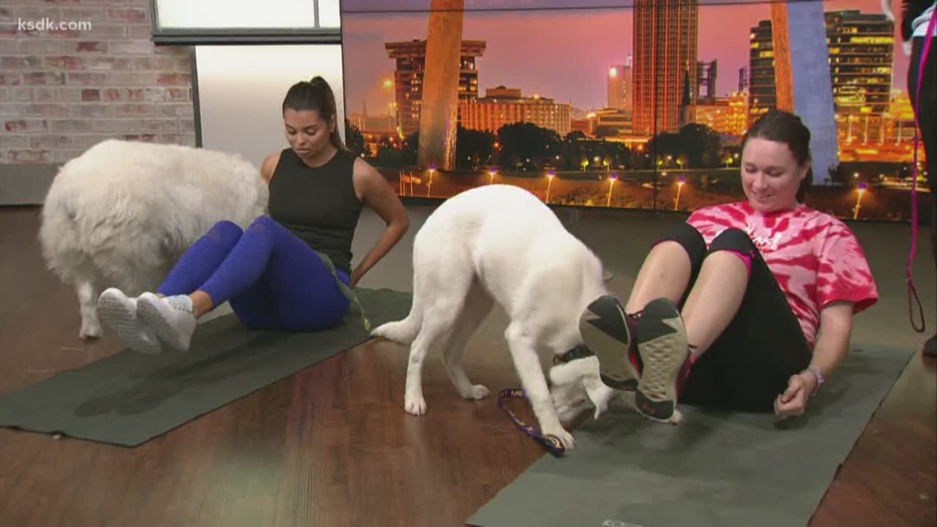 Pilates with Puppies is Friday, January 10, 2020.