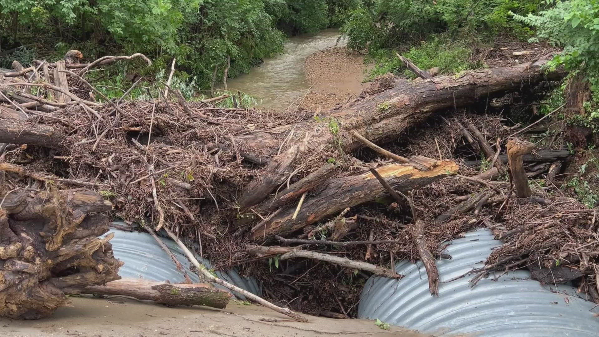 Early Thursday morning, water rose rapidly along an offshoot of Wild Horse Creek, leaving subdivision residents tasked with storm clean up on the Fourth of July.