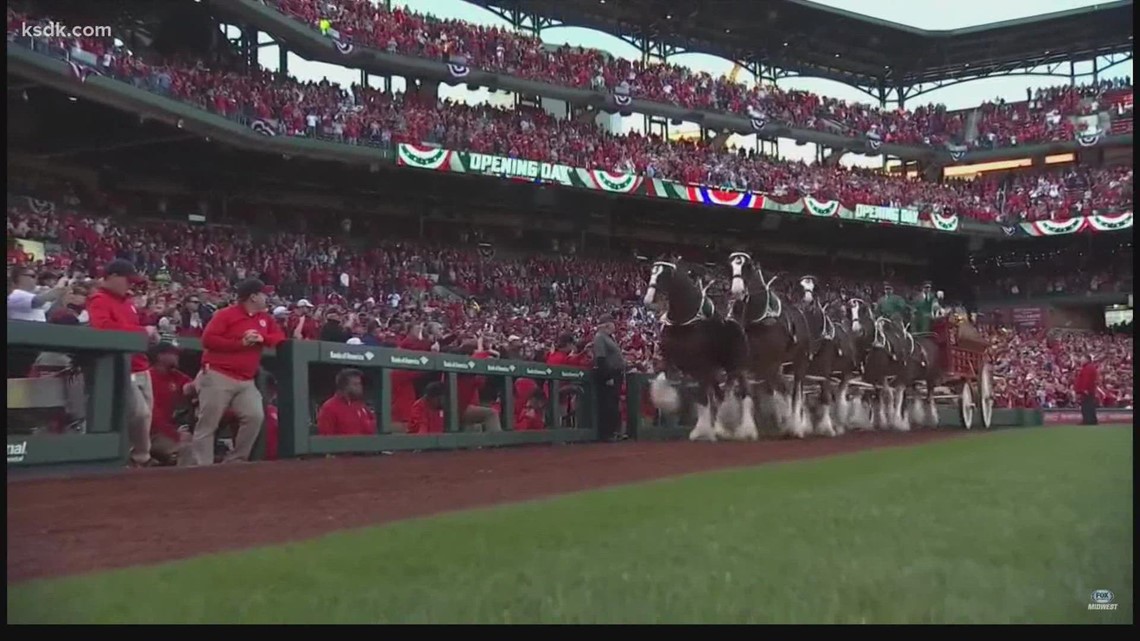 Downtown St. Louis prepares for opening day