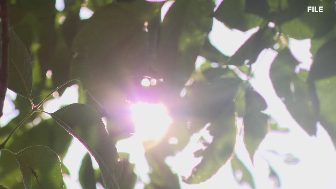 Doctors talk dangers of heat-related illness - Vimarsana News