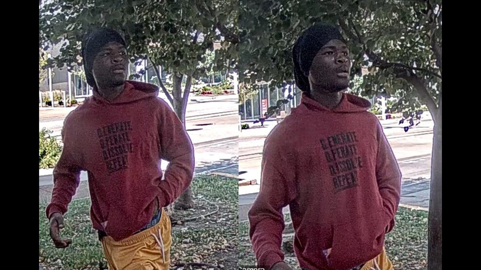 Forest Park armed robbery: St. Louis police looking for suspects caught ...