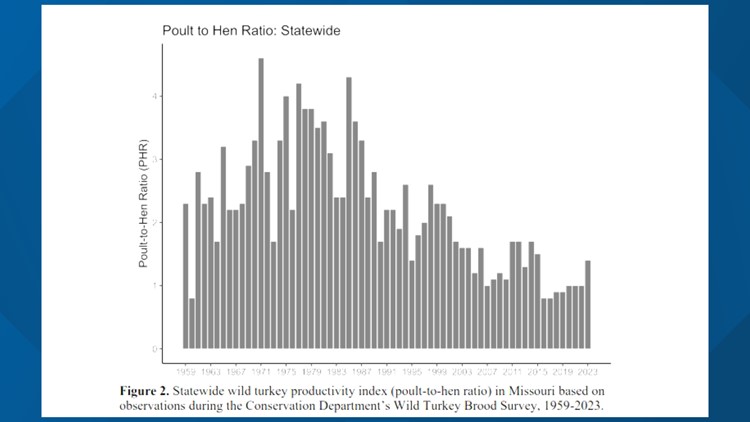 Missouri Wild Turkeys May See A Boost In 2024 Thanks To An Insect   Ae29825a 942e 4410 A678 40283245d1c8 750x422 