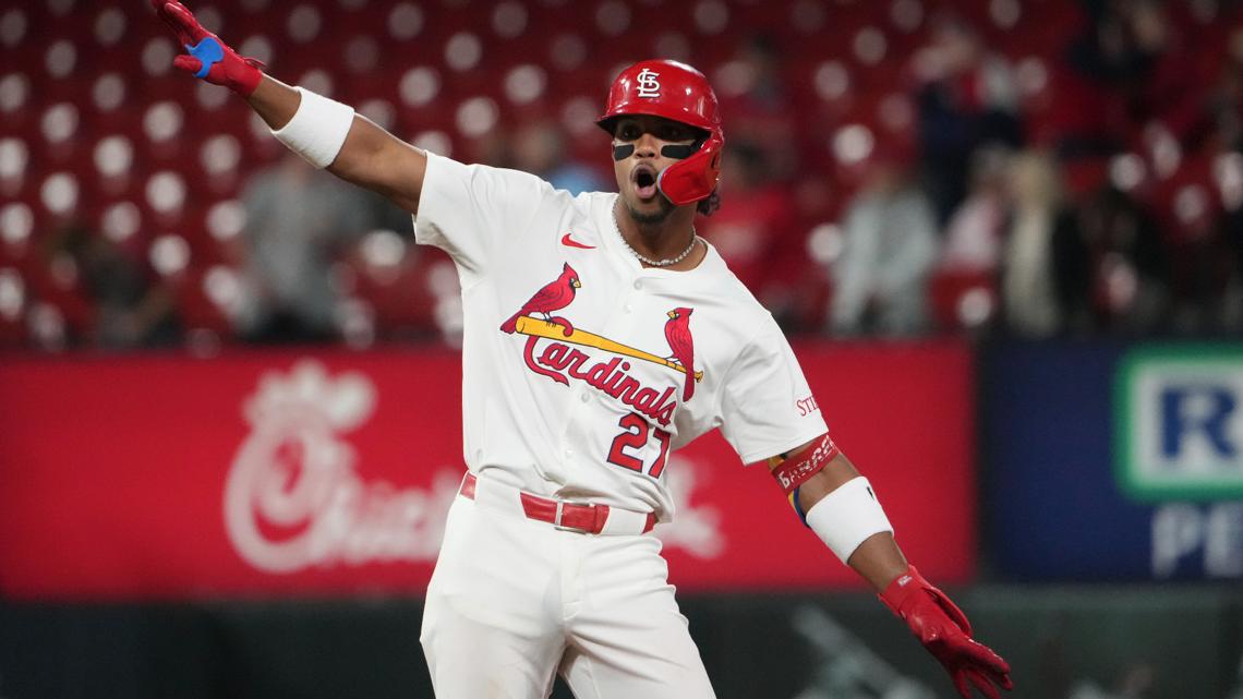 Missouri fall mushroom guide Edible - Ae3a38cf 9037 46f4 9d39 C1104f6f3949 1140x641 