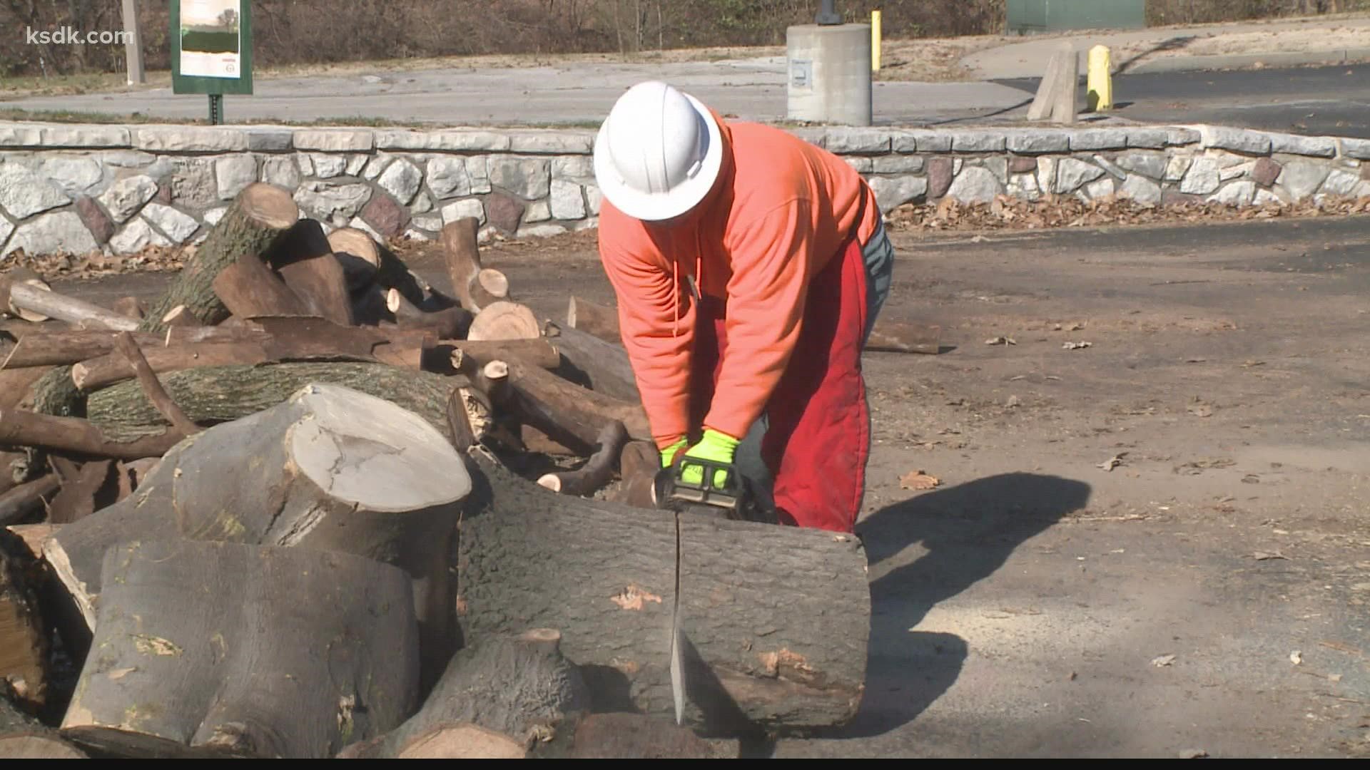 Do you need firewood? The City of St. Louis Department of Parks, Recreation and Forestry is now offering free firewood to city residents.