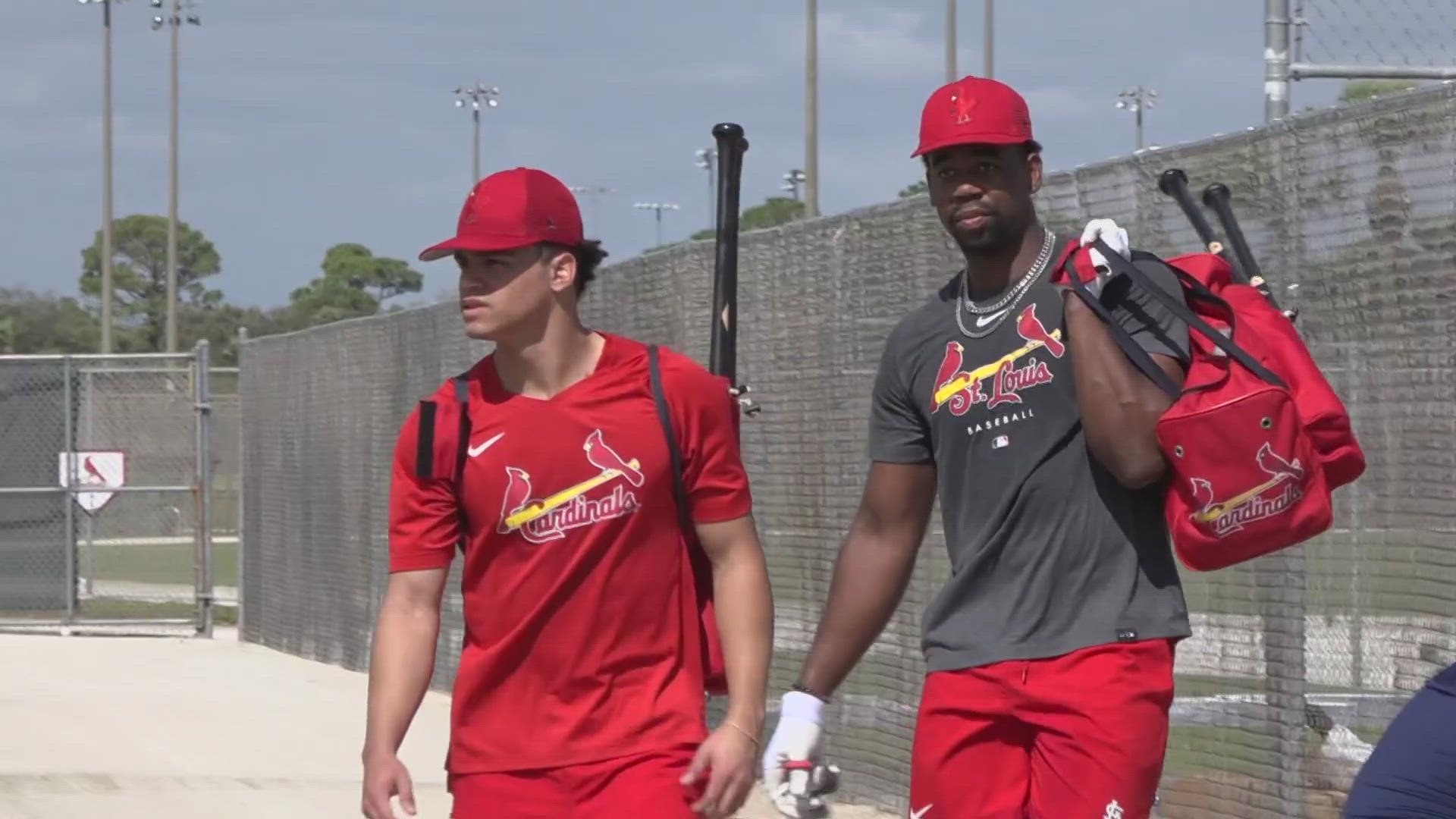 The Cardinals aren't short on top prospects. Here's what some of their big names had to say about their major league dreams at spring training.