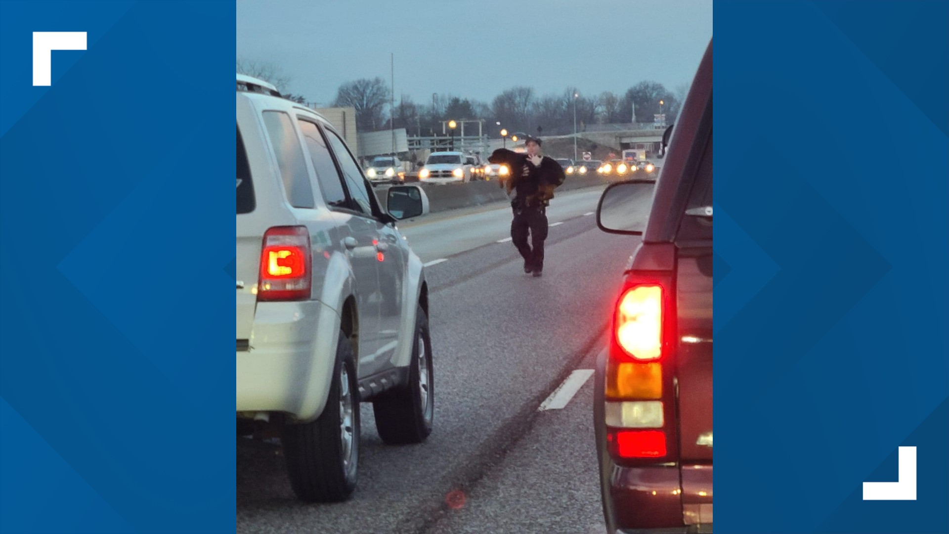 Police Officer Rescuing O'Fallon, Missouri, officer rescues dog off Interstate 70 | ksdk.com
