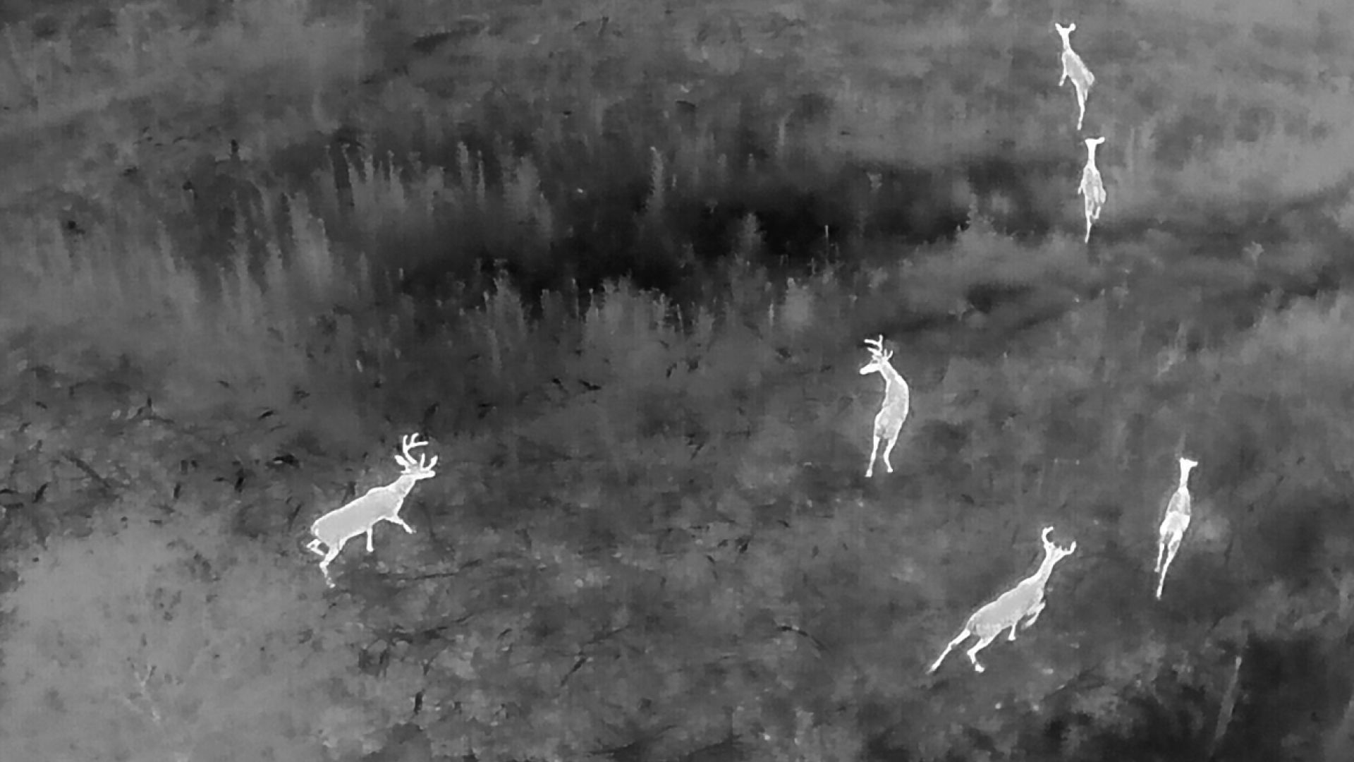 Missouri deer hunters using thermal drones to track wounded game | ksdk.com