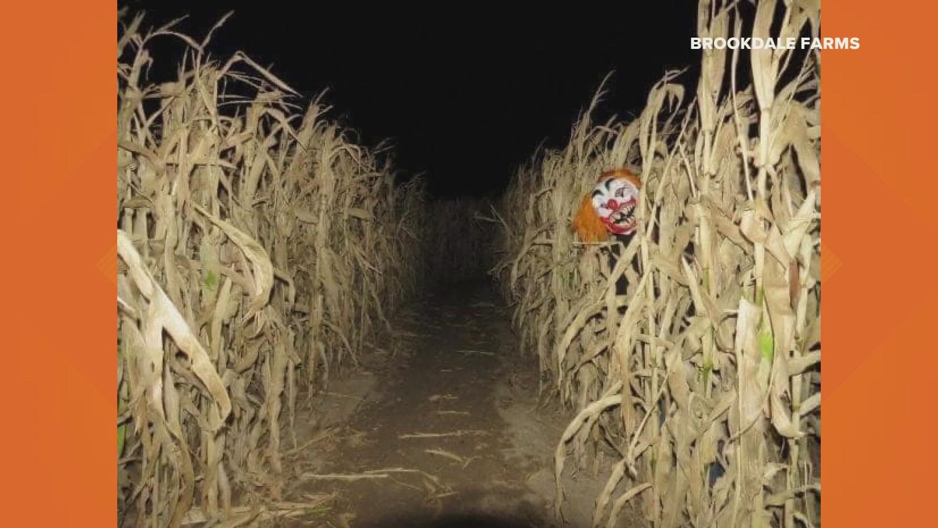 Brookdale Farms' haunted hayride and corn maze massacre are happening at Eureka Fear Farm. Also check out The Darkness and Creepyworld in Soulard.