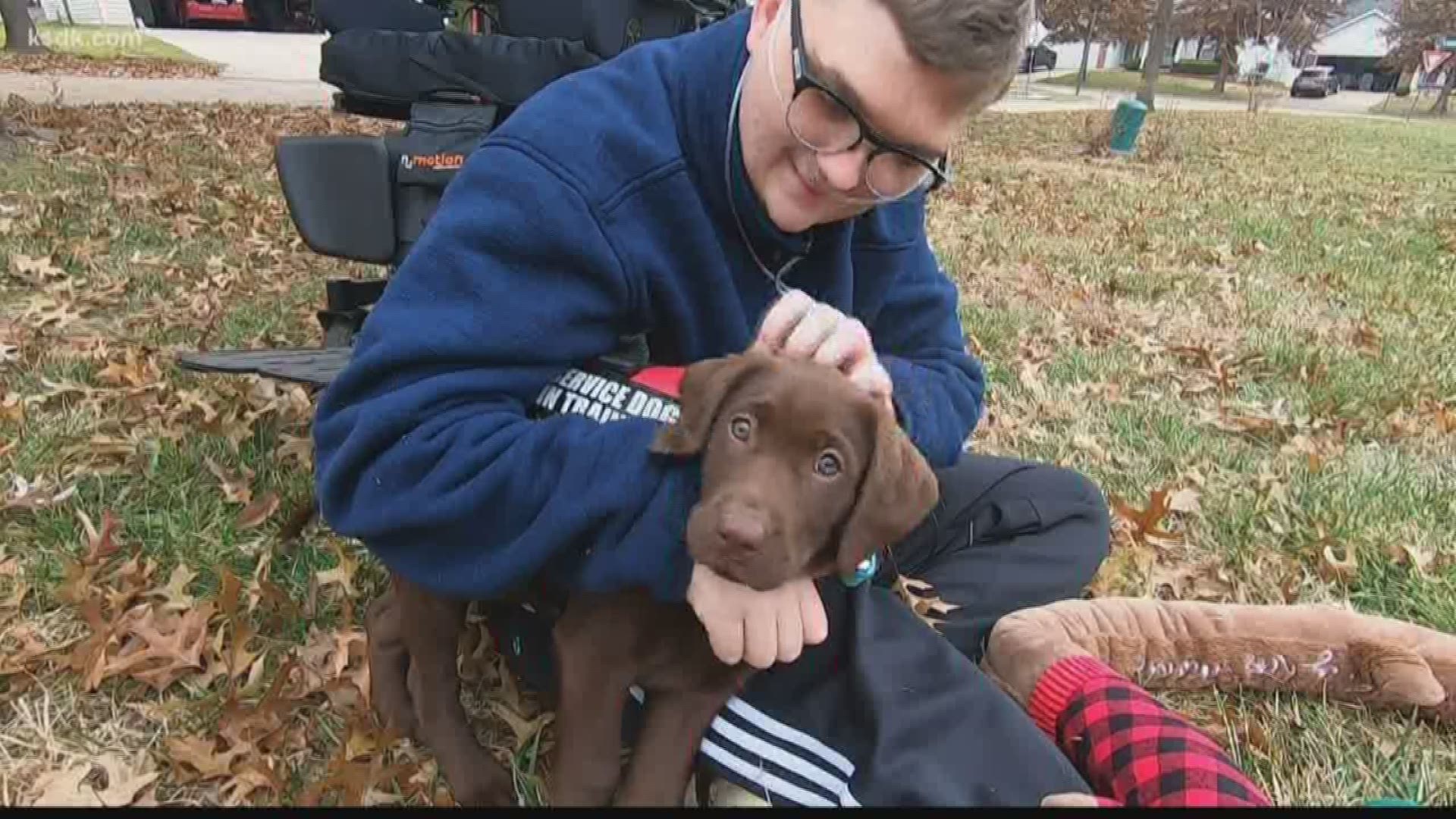 St. Charles County teen Nathan Laws only had a 50% chance of living past age two. He's 18 now, and his family is hoping a service dog can help him even more.