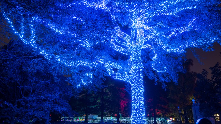 'Growing into the 2022-2023 season': The new additions to the Missouri Botanical Garden Glow