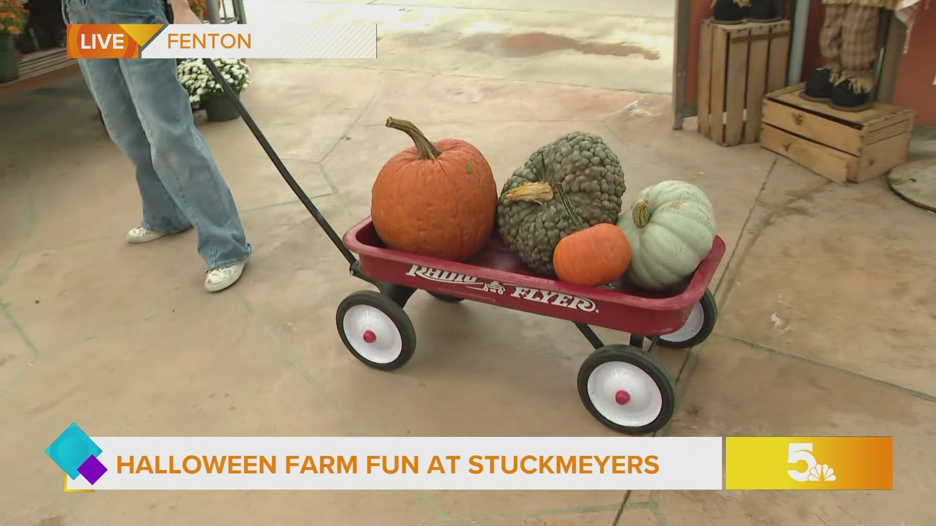 Halloween Farm Fun Days is happening every weekend through October 31 at the farm.