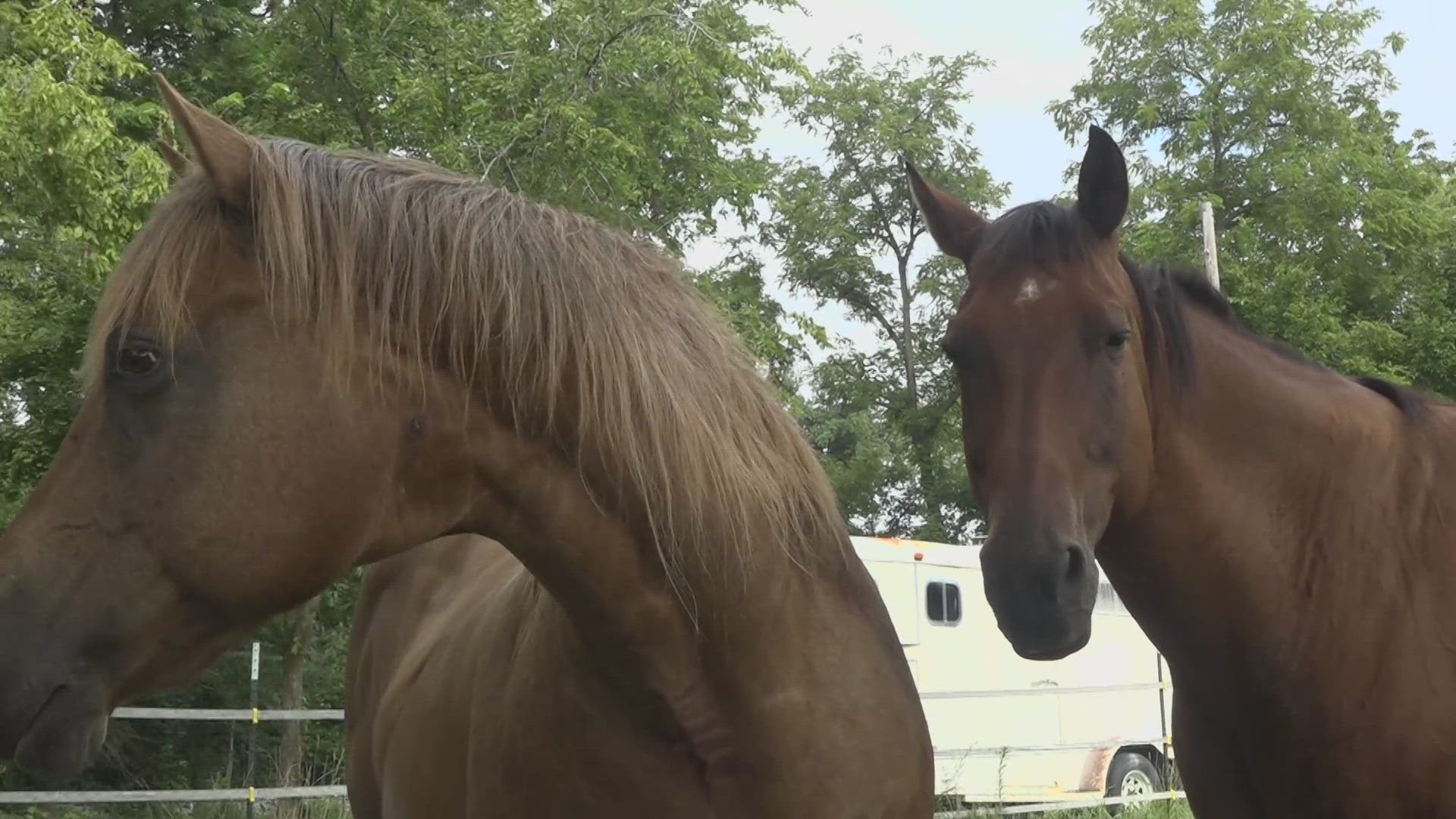 The July 16 storms completely washed away both of Spotted Pony Stable Retirement Center's bridges. Rochelle Weaver is hoping the community can help.