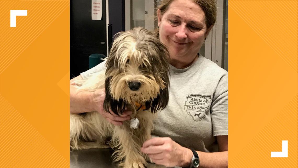 Dogs rescued from home in Franklin County by Humane Society | ksdk.com