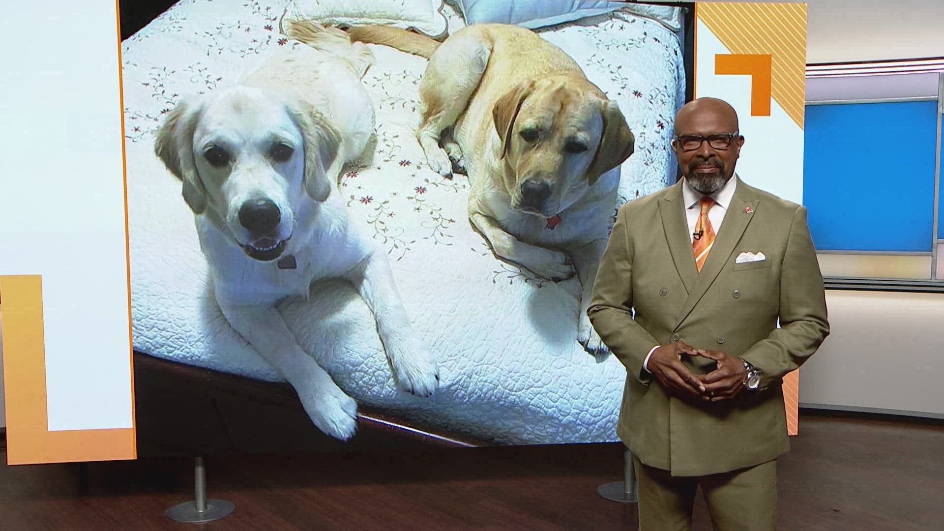 Sammy's Stars: March 26, 2024 | ksdk.com