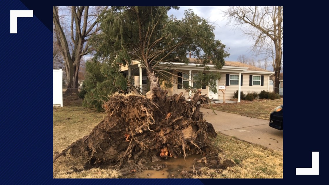 Tree falls on woman's home during severe weather | ksdk.com
