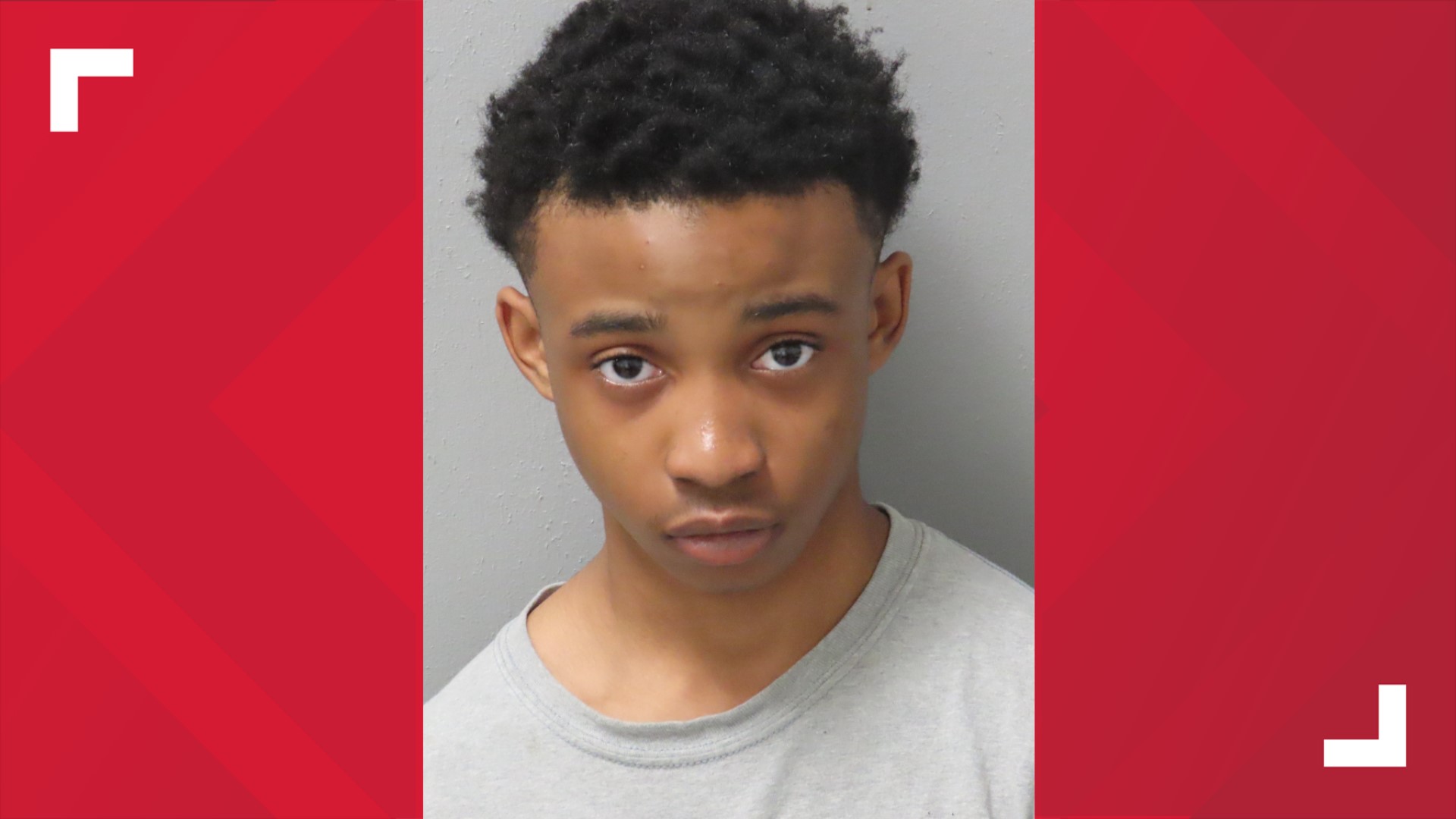 Teen sentenced to 20 years for deadly attempted carjacking in south St ...