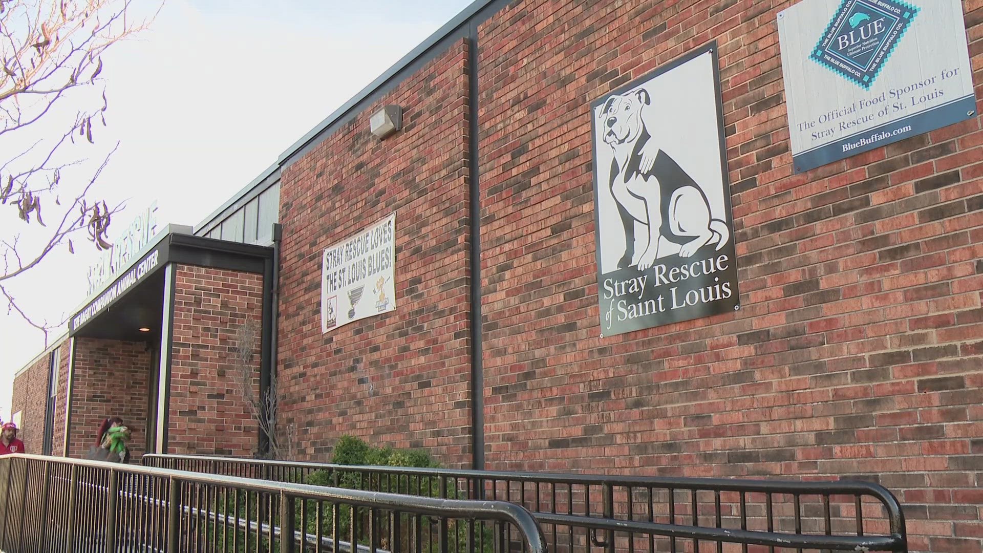 Stray Rescue of St. Louis is holding an emergency adoption event tomorrow. Organizers say the shelter has been beyond capacity for most of the year. 