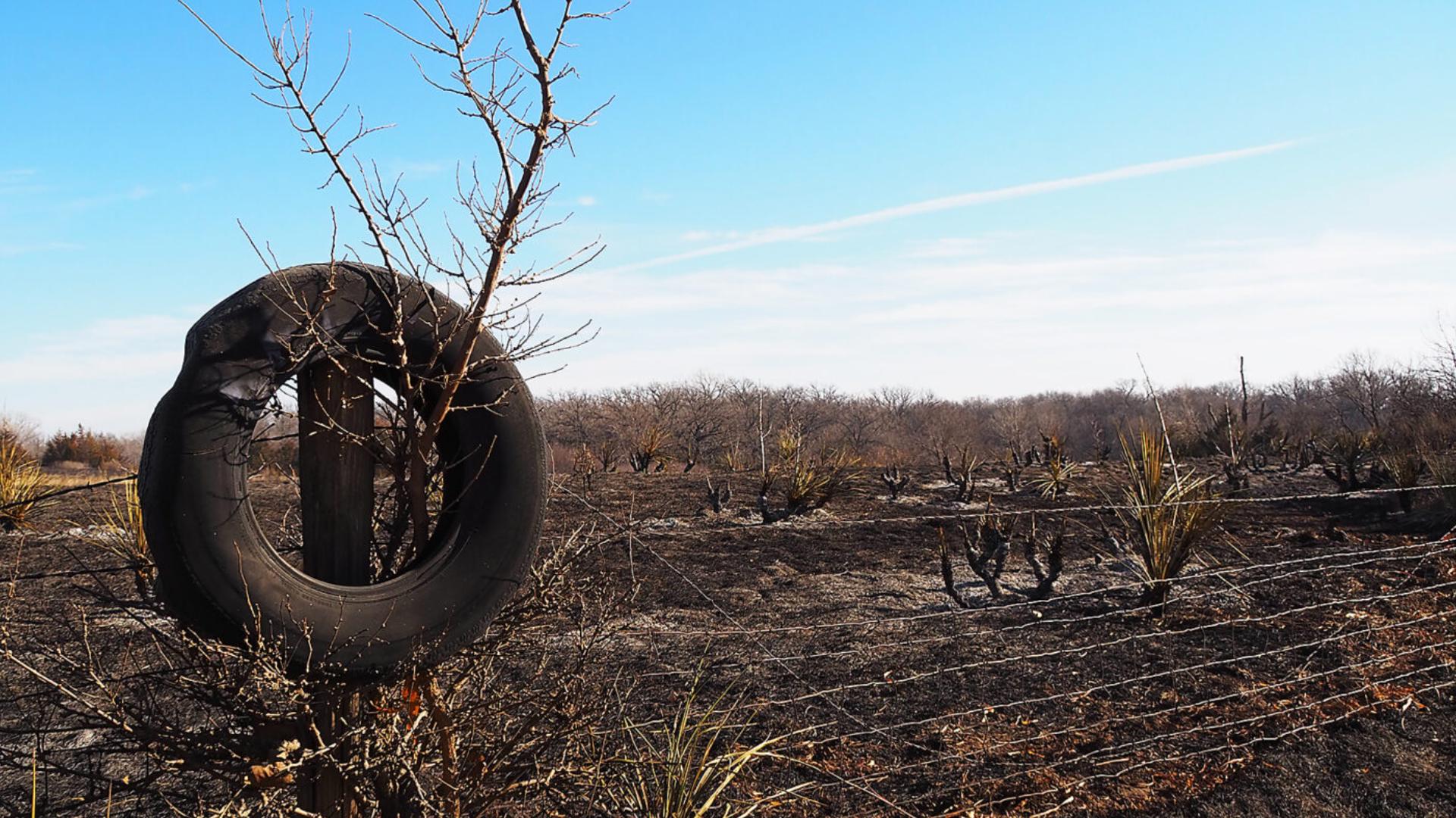 As Missouri wildfire risk grows, regulators and utilities take ...