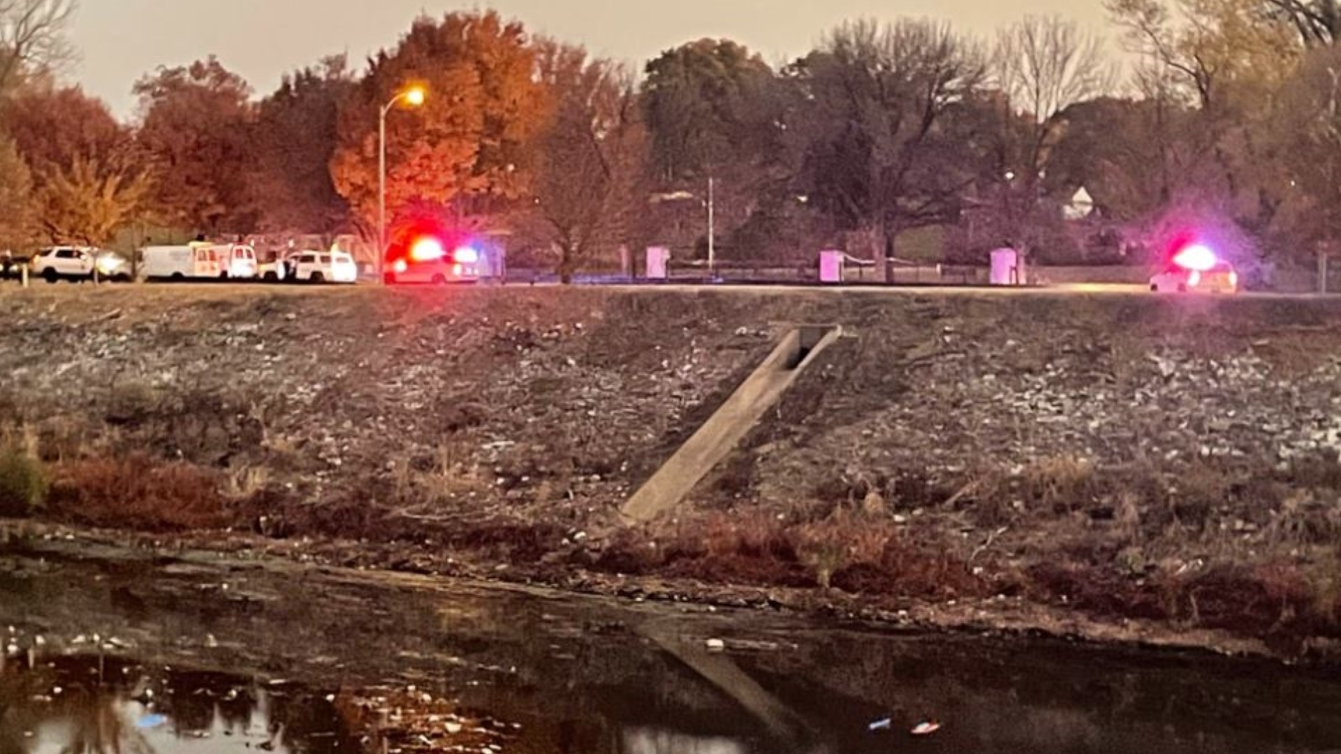 Suspect in custody after man shot and killed in south St. Louis | ksdk.com