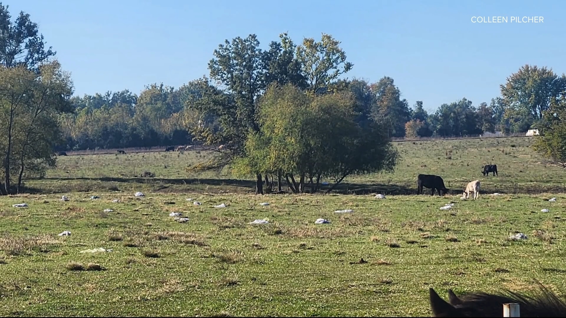 A lantern festival in Warren County has been held for the past five years. But this year, some neighbors are upset over the aftermath of the event.