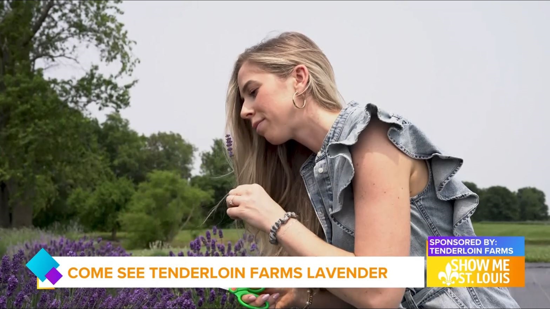 Tenderloin Farms in Edwardsville, Illinois, transforms its legacy by switching from livestock to a fragrant lavender operation led by sisters Kim and Kris.