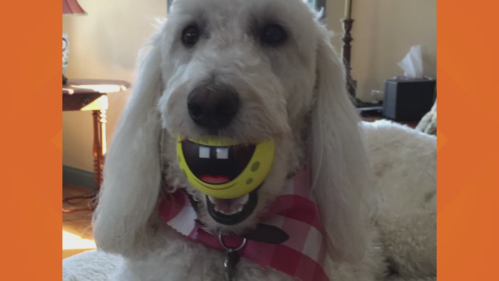 Sammy's Stars: Jan. 5, 2024 | ksdk.com