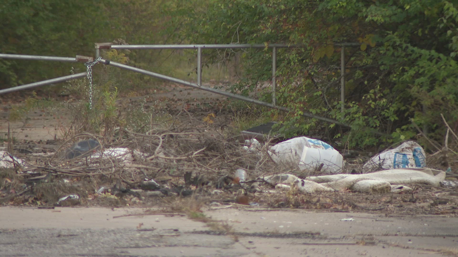 Thousands of homes in the Carrollton subdivision were razed 20 years ago for expansion at St. Louis Lambert International Airport.