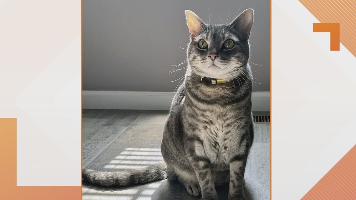 Sammy's Stars: Aug. 21, 2023 | ksdk.com