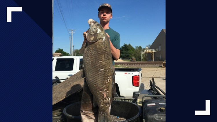 Record-breaking fish caught in Jefferson City