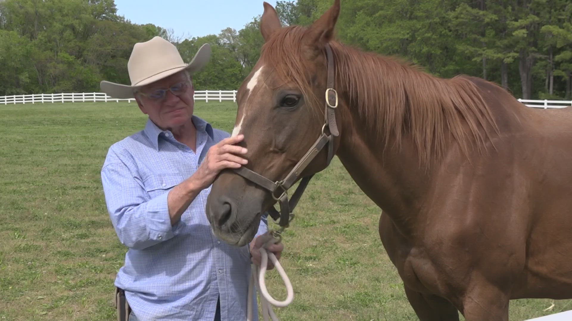 Fifty years ago, Secretariat won horse-racing's Triple Crown. And some of his genes live on today at Saddleback Stables in O'Fallon, Illinois.