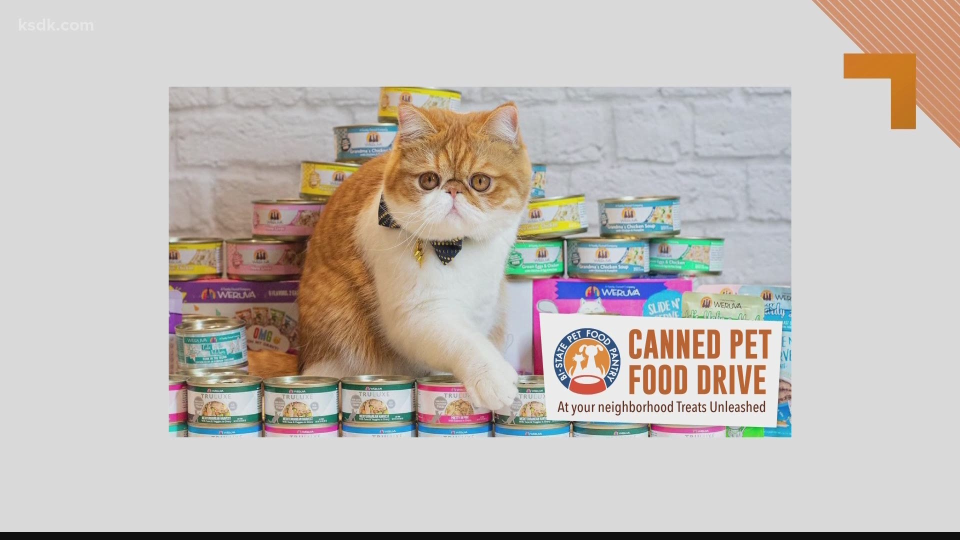Help families in need feed their pets this holiday season with Treats Unleashed’s pet food drive.