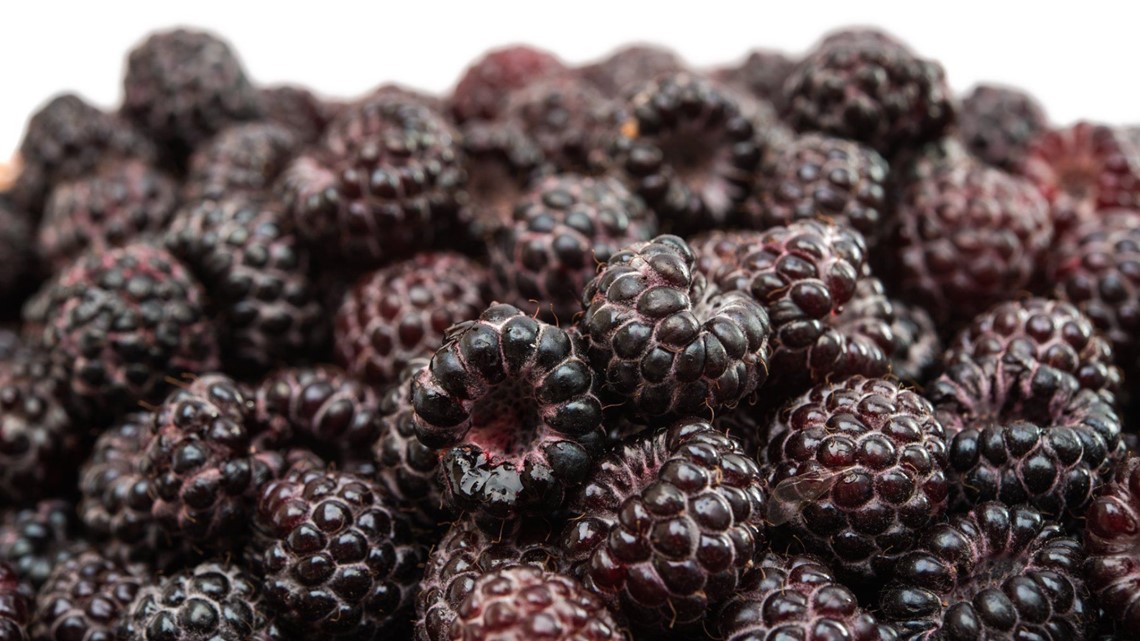 Pick-your-own black raspberries available at Eckert's Farm - Vimarsana News