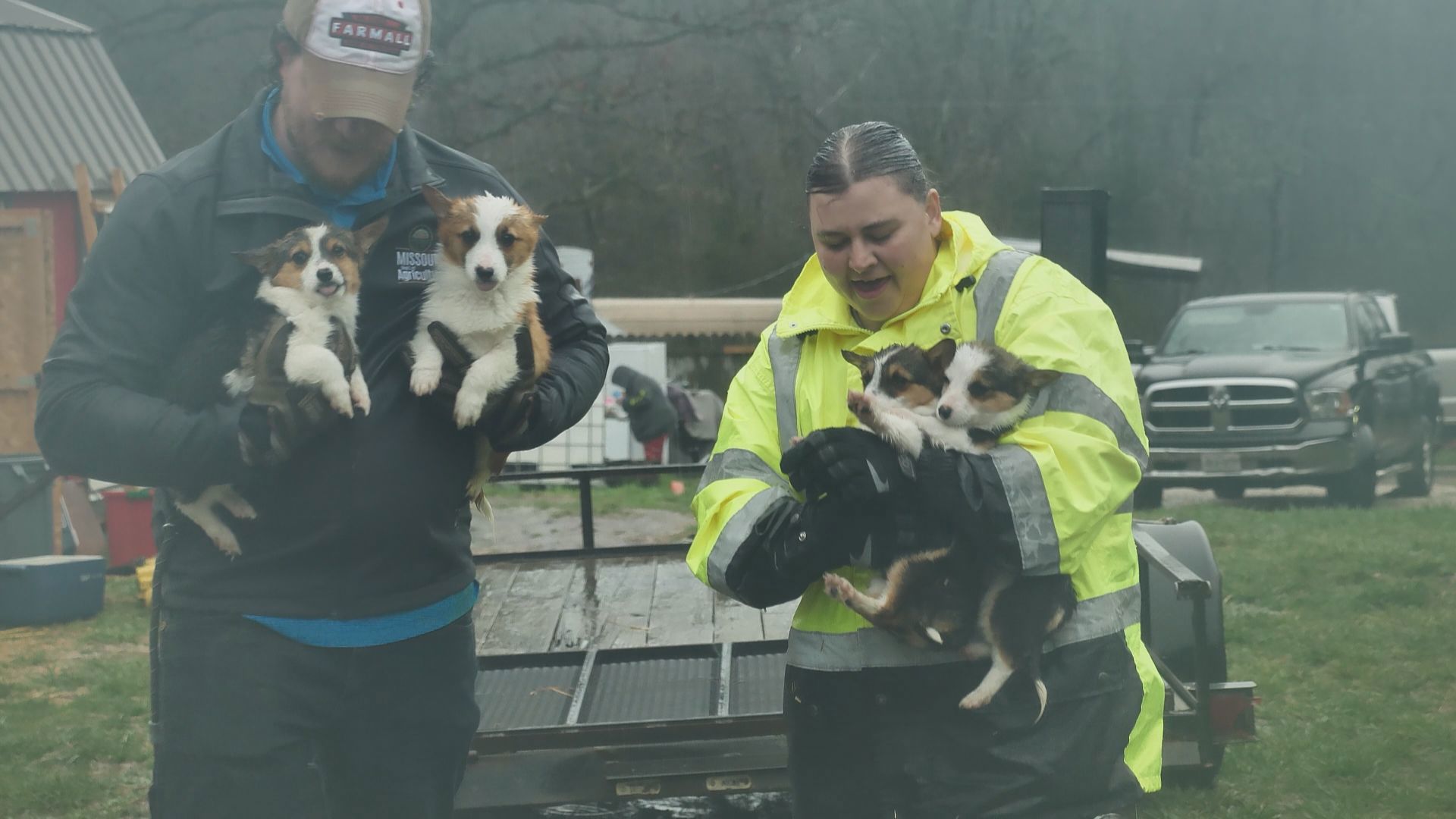 Missouri Rescue More than 50 animals rescued from dire conditions in Missouri | ksdk.com