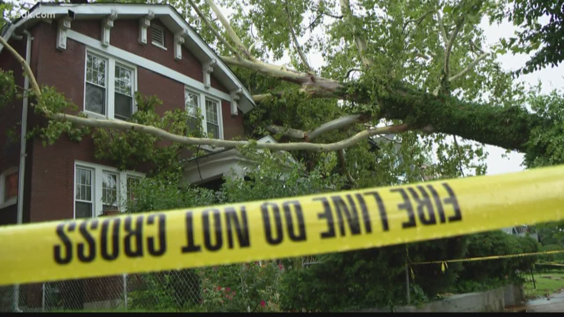 A 100-foot-tall tree landed with the bulk of its weight on Roosevelt Hawkins' home Wednesday, but neighbor Barbara Harris worries she could be next.