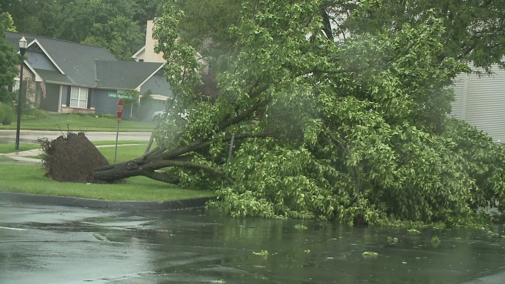 Wednesday storms knocked down trees in Chesterfield. Homeowners were cleaning up and assessing the damage.